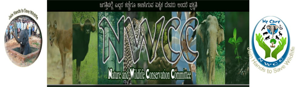 NWCC